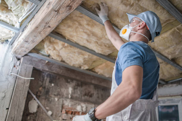 Best Insulation Maintenance and Repair in Saddle Rock, NY